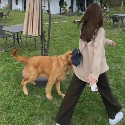 捆着我!绑着我!